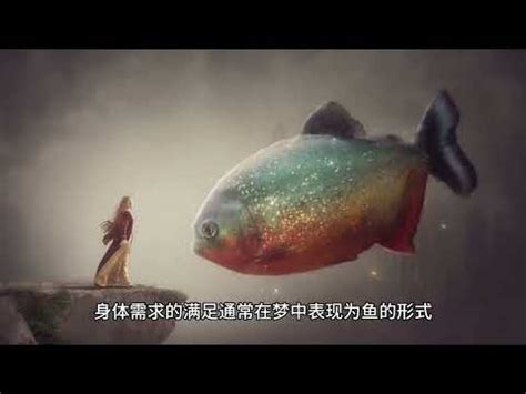 夢到一堆魚|夢裡見到很多魚是怎麼回事？有什麼徵兆？